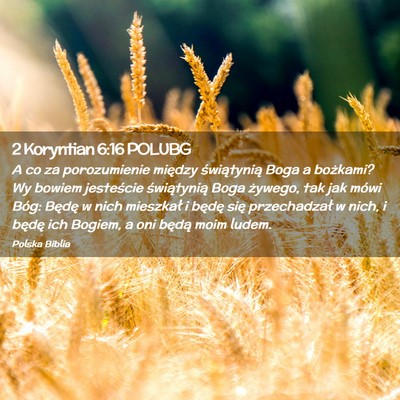 Picture 02 - 2 Koryntian 6:16 POLUBG - A co za porozumienie między świątynią Boga a - Bible Verse Picture