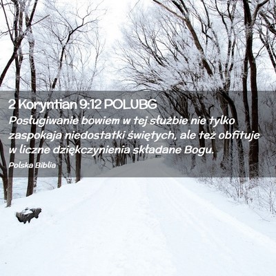 Picture 02 - 2 Koryntian 9:12 POLUBG - Posługiwanie bowiem w tej służbie nie tylko - Bible Verse Picture