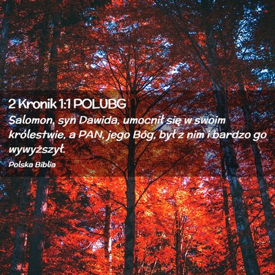 Picture 02 - 2 Kronik 1:1 POLUBG - Salomon, syn Dawida, umocnił się w swoim - Bible Verse Picture
