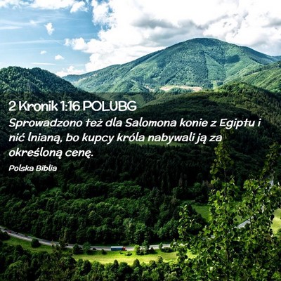 Picture 02 - 2 Kronik 1:16 POLUBG - Sprowadzono też dla Salomona konie z Egiptu i - Bible Verse Picture