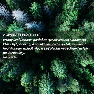 Picture 02 - 2 Kronik 10:18 POLUBG - Wtedy król Roboam posłał do synów Izraela - Bible Verse Picture