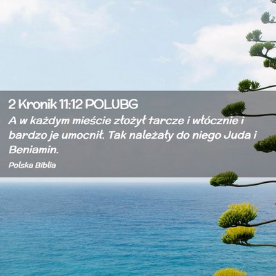 Picture 02 - 2 Kronik 11:12 POLUBG - A w każdym mieście złożył tarcze i - Bible Verse Picture