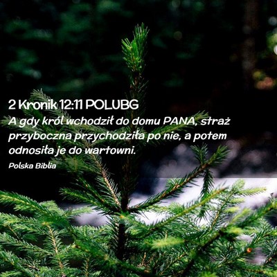 Picture 02 - 2 Kronik 12:11 POLUBG - A gdy król wchodził do domu PANA, straż - Bible Verse Picture