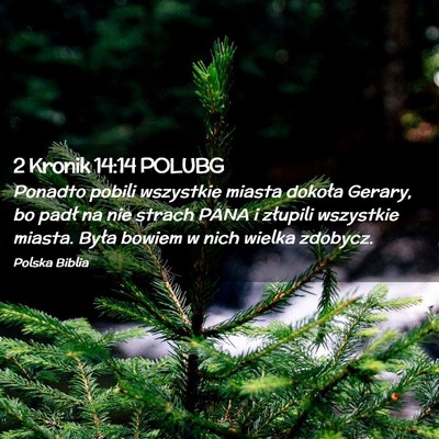 Picture 02 - 2 Kronik 14:14 POLUBG - Ponadto pobili wszystkie miasta dokoła Gerary, - Bible Verse Picture