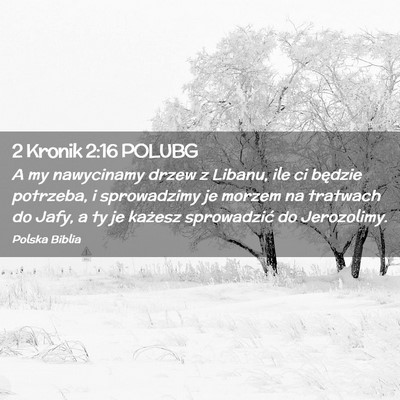 Picture 02 - 2 Kronik 2:16 POLUBG - A my nawycinamy drzew z Libanu, ile ci będzie - Bible Verse Picture
