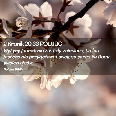Picture 02 - 2 Kronik 20:33 POLUBG - Wyżyny jednak nie zostały zniesione, bo lud - Bible Verse Picture