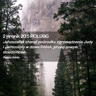 Picture 02 - 2 Kronik 20:5 POLUBG - Jehoszafat stanął pośrodku zgromadzenia Judy i - Bible Verse Picture