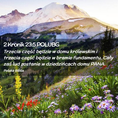 Picture 02 - 2 Kronik 23:5 POLUBG - Trzecia część będzie w domu królewskim i - Bible Verse Picture