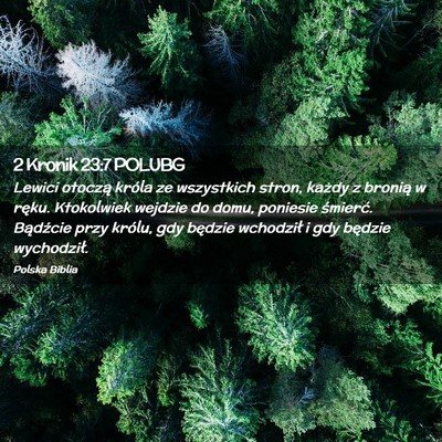 Picture 02 - 2 Kronik 23:7 POLUBG - Lewici otoczą króla ze wszystkich stron, każdy - Bible Verse Picture