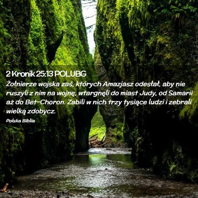 Picture 02 - 2 Kronik 25:13 POLUBG - Żołnierze wojska zaś, których Amazjasz - Bible Verse Picture