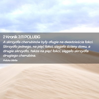 Picture 02 - 2 Kronik 3:11 POLUBG - A skrzydła cherubinów były długie na - Bible Verse Picture