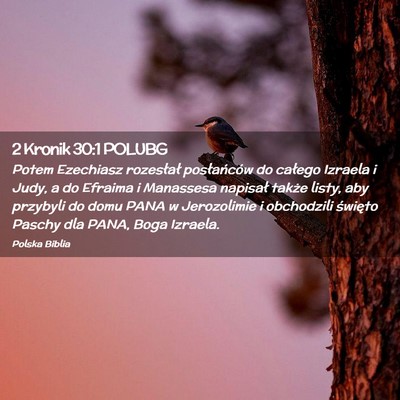 Picture 02 - 2 Kronik 30:1 POLUBG - Potem Ezechiasz rozesłał posłańców do - Bible Verse Picture