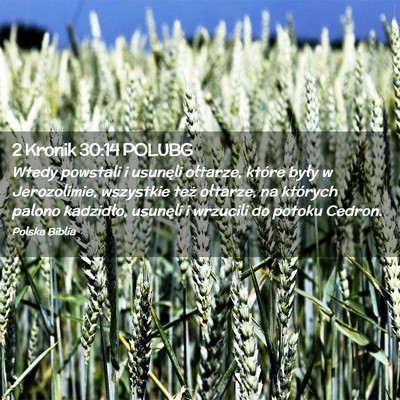 Picture 02 - 2 Kronik 30:14 POLUBG - Wtedy powstali i usunęli ołtarze, które były - Bible Verse Picture