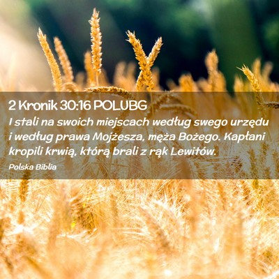 Picture 02 - 2 Kronik 30:16 POLUBG - I stali na swoich miejscach według swego urzędu - Bible Verse Picture