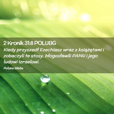 Picture 02 - 2 Kronik 31:8 POLUBG - Kiedy przyszedł Ezechiasz wraz z książętami i - Bible Verse Picture