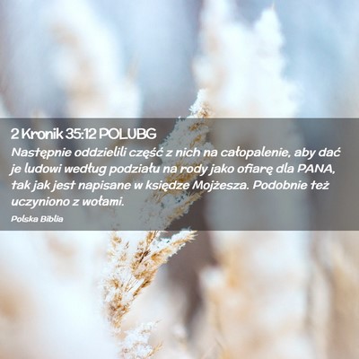 Picture 02 - 2 Kronik 35:12 POLUBG - Następnie oddzielili część z nich na - Bible Verse Picture