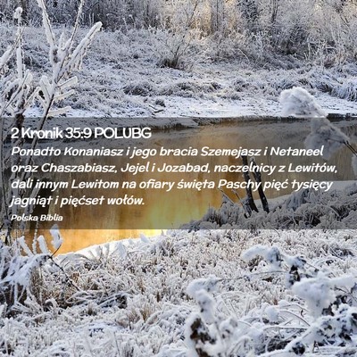 Picture 02 - 2 Kronik 35:9 POLUBG - Ponadto Konaniasz i jego bracia Szemejasz i - Bible Verse Picture