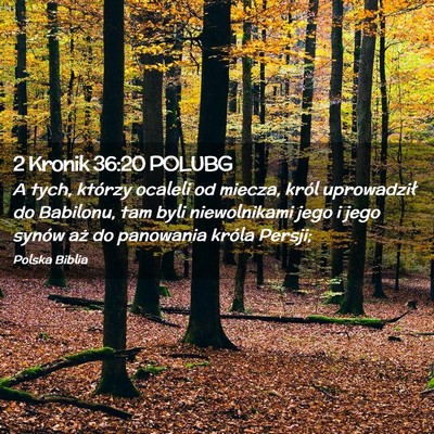 Picture 02 - 2 Kronik 36:20 POLUBG - A tych, którzy ocaleli od miecza, król - Bible Verse Picture