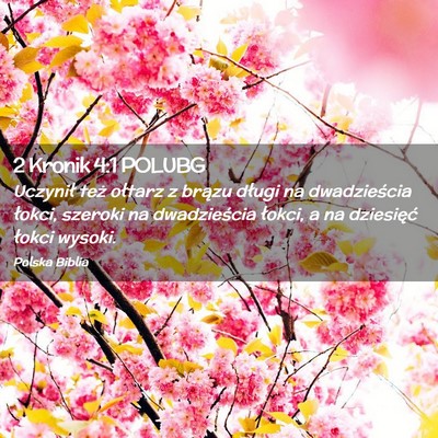 Picture 02 - 2 Kronik 4:1 POLUBG - Uczynił też ołtarz z brązu długi na - Bible Verse Picture