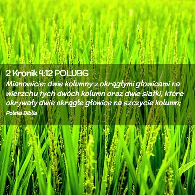 Picture 02 - 2 Kronik 4:12 POLUBG - Mianowicie: dwie kolumny z okrągłymi głowicami - Bible Verse Picture