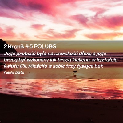 Picture 02 - 2 Kronik 4:5 POLUBG - Jego grubość była na szerokość dłoni; a - Bible Verse Picture
