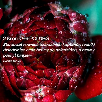 Picture 02 - 2 Kronik 4:9 POLUBG - Zbudował również dziedziniec kapłanów i - Bible Verse Picture