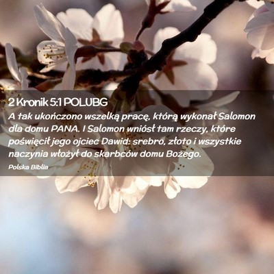 Picture 02 - 2 Kronik 5:1 POLUBG - A tak ukończono wszelką pracę, którą - Bible Verse Picture