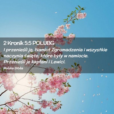 Picture 02 - 2 Kronik 5:5 POLUBG - I przenieśli ją, Namiot Zgromadzenia i - Bible Verse Picture