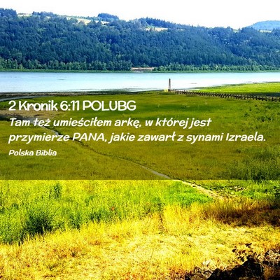 Picture 02 - 2 Kronik 6:11 POLUBG - Tam też umieściłem arkę, w której jest - Bible Verse Picture