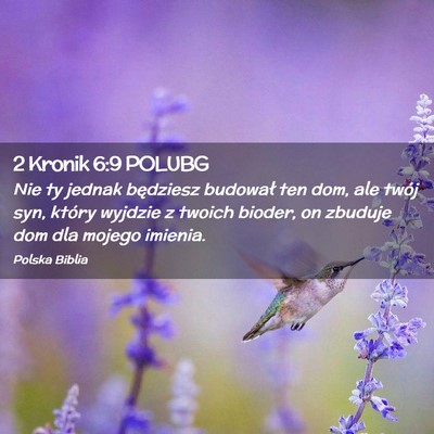 Picture 02 - 2 Kronik 6:9 POLUBG - Nie ty jednak będziesz budował ten dom, ale - Bible Verse Picture