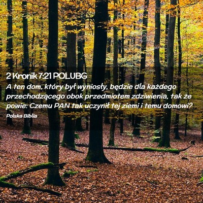 Picture 02 - 2 Kronik 7:21 POLUBG - A ten dom, który był wyniosły, będzie dla - Bible Verse Picture