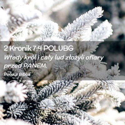 Picture 02 - 2 Kronik 7:4 POLUBG - Wtedy król i cały lud złożyli ofiary przed - Bible Verse Picture