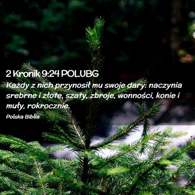 Picture 02 - 2 Kronik 9:24 POLUBG - Każdy z nich przynosił mu swoje dary: naczynia - Bible Verse Picture
