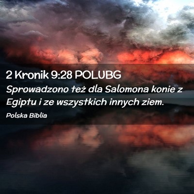 Picture 02 - 2 Kronik 9:28 POLUBG - Sprowadzono też dla Salomona konie z Egiptu i ze - Bible Verse Picture