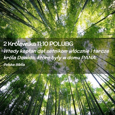 Picture 02 - 2 Królewska 11:10 POLUBG - Wtedy kapłan dał setnikom włócznie i tarcze - Bible Verse Picture