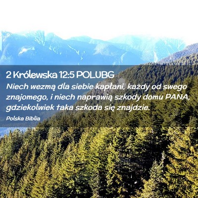 Picture 02 - 2 Królewska 12:5 POLUBG - Niech wezmą dla siebie kapłani, każdy od swego - Bible Verse Picture