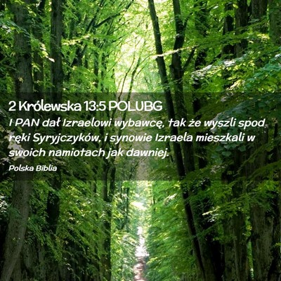 Picture 02 - 2 Królewska 13:5 POLUBG - I PAN dał Izraelowi wybawcę, tak że wyszli - Bible Verse Picture
