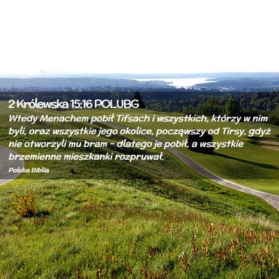 Picture 02 - 2 Królewska 15:16 POLUBG - Wtedy Menachem pobił Tifsach i wszystkich, - Bible Verse Picture