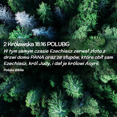 Picture 02 - 2 Królewska 18:16 POLUBG - W tym samym czasie Ezechiasz zerwał złoto z - Bible Verse Picture