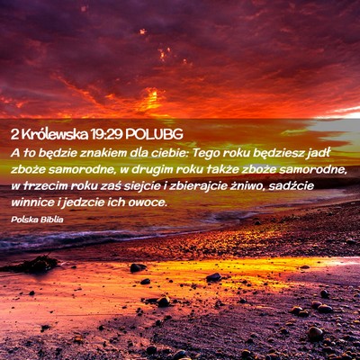 Picture 02 - 2 Królewska 19:29 POLUBG - A to będzie znakiem dla ciebie: Tego roku - Bible Verse Picture