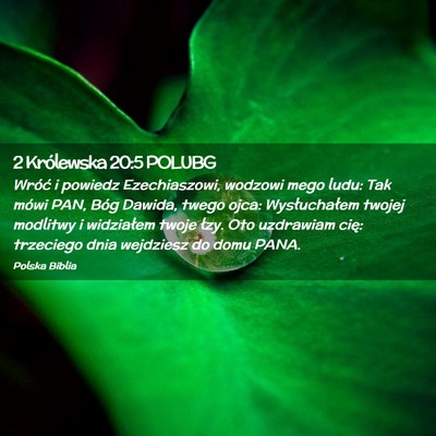 Picture 02 - 2 Królewska 20:5 POLUBG - Wróć i powiedz Ezechiaszowi, wodzowi mego ludu: - Bible Verse Picture