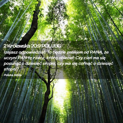 Picture 02 - 2 Królewska 20:9 POLUBG - Izajasz odpowiedział: To będzie znakiem od - Bible Verse Picture