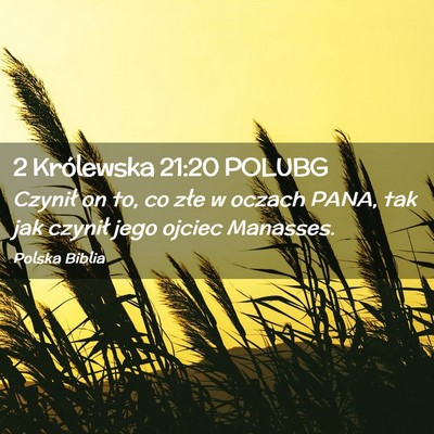 Picture 02 - 2 Królewska 21:20 POLUBG - Czynił on to, co złe w oczach PANA, tak jak - Bible Verse Picture