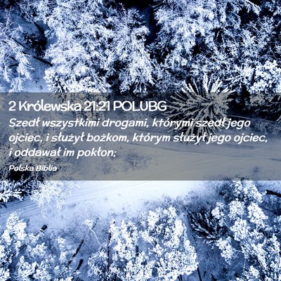 Picture 02 - 2 Królewska 21:21 POLUBG - Szedł wszystkimi drogami, którymi szedł jego - Bible Verse Picture
