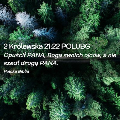 Picture 02 - 2 Królewska 21:22 POLUBG - Opuścił PANA, Boga swoich ojców, a nie szedł - Bible Verse Picture