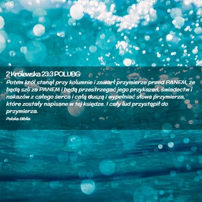 Picture 02 - 2 Królewska 23:3 POLUBG - Potem król stanął przy kolumnie i zawarł - Bible Verse Picture