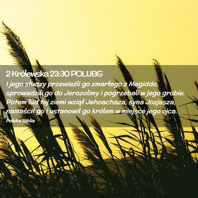 Picture 02 - 2 Królewska 23:30 POLUBG - I jego słudzy przewieźli go zmarłego z - Bible Verse Picture