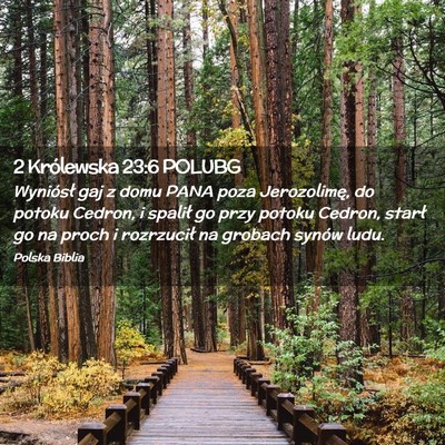 Picture 02 - 2 Królewska 23:6 POLUBG - Wyniósł gaj z domu PANA poza Jerozolimę, do - Bible Verse Picture