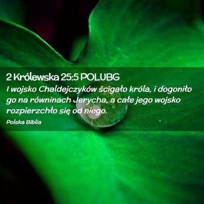 Picture 02 - 2 Królewska 25:5 POLUBG - I wojsko Chaldejczyków ścigało króla, i - Bible Verse Picture