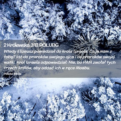 Picture 02 - 2 Królewska 3:13 POLUBG - Wtedy Elizeusz powiedział do króla Izraela: Co - Bible Verse Picture